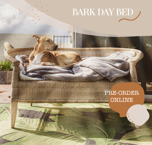 The Bark Day Bed