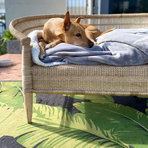 The Bark Day Bed